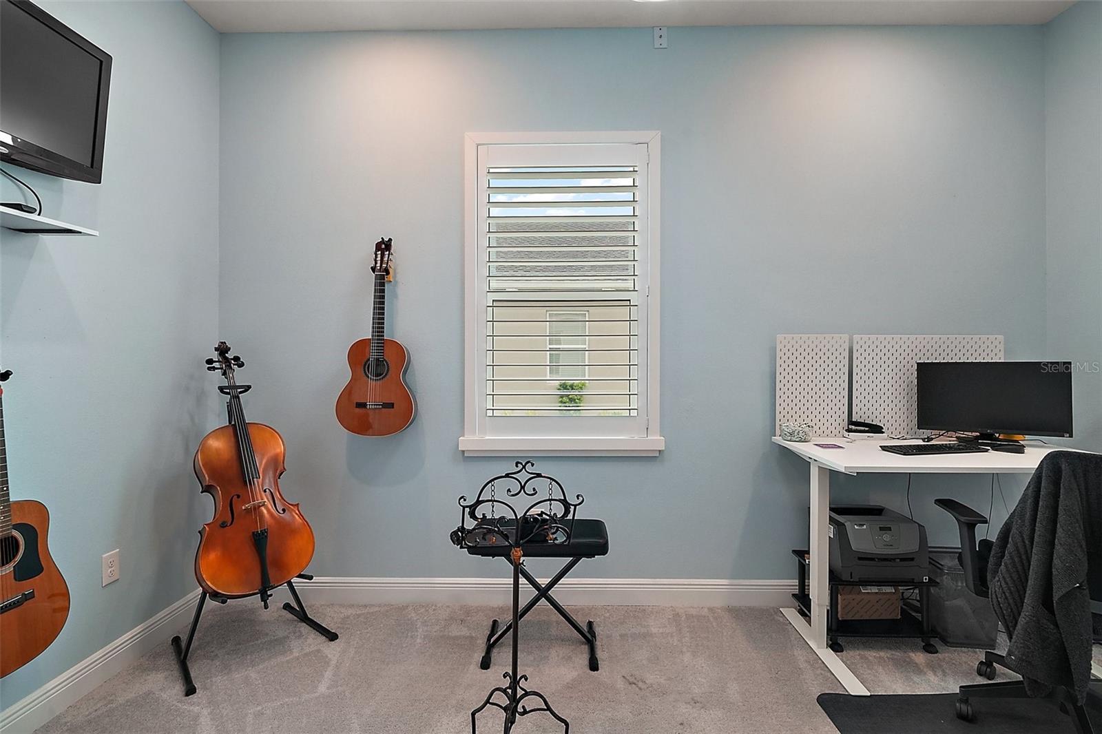 1966 WALLINGFORD LOOP, MOUNT DORA, FL, 32757