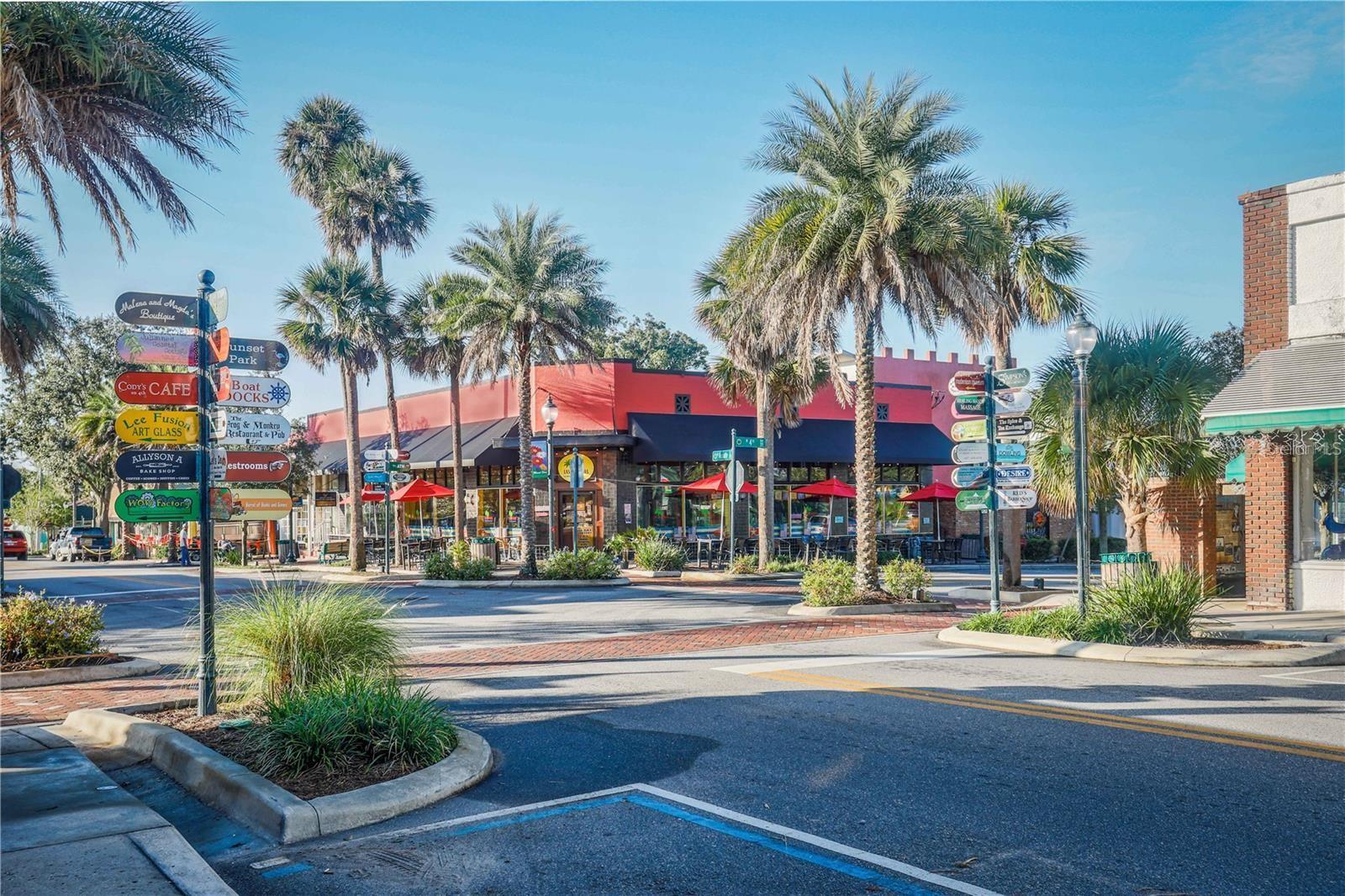 1966 WALLINGFORD LOOP, MOUNT DORA, FL, 32757