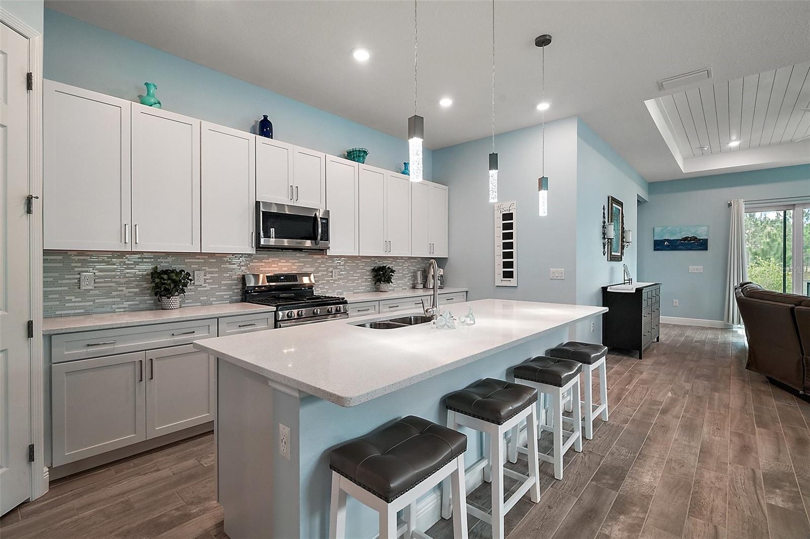 1966 WALLINGFORD LOOP, MOUNT DORA, FL, 32757