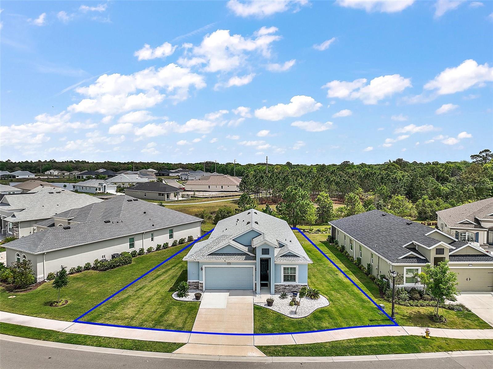 1966 WALLINGFORD LOOP, MOUNT DORA, FL, 32757