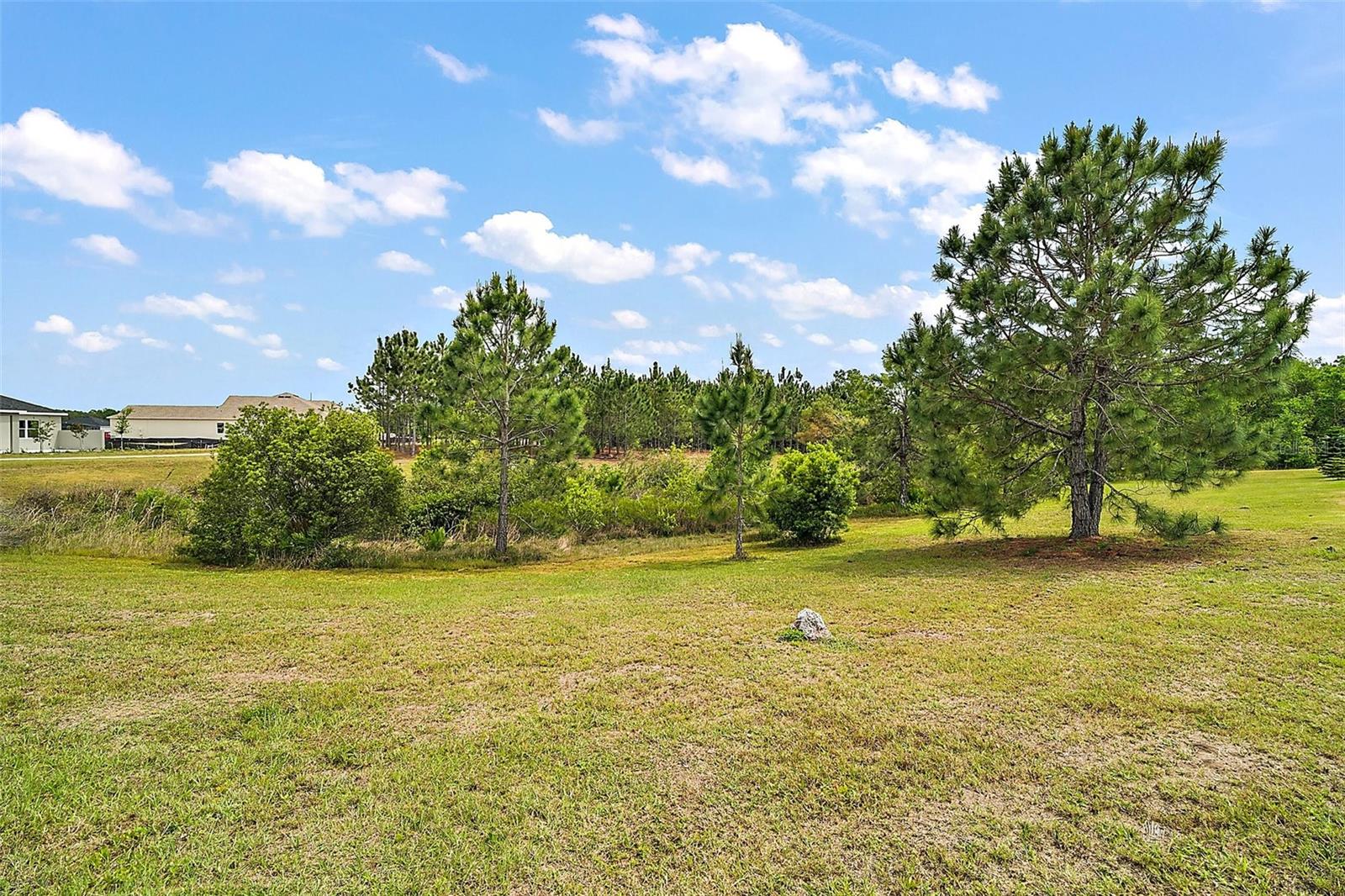 1966 WALLINGFORD LOOP, MOUNT DORA, FL, 32757