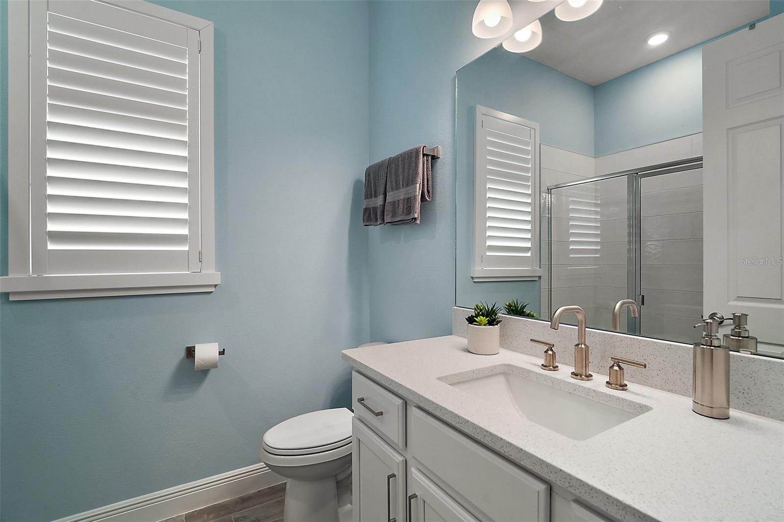 1966 WALLINGFORD LOOP, MOUNT DORA, FL, 32757