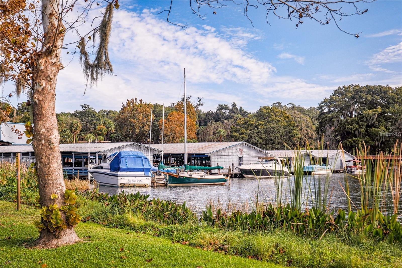 1966 WALLINGFORD LOOP, MOUNT DORA, FL, 32757
