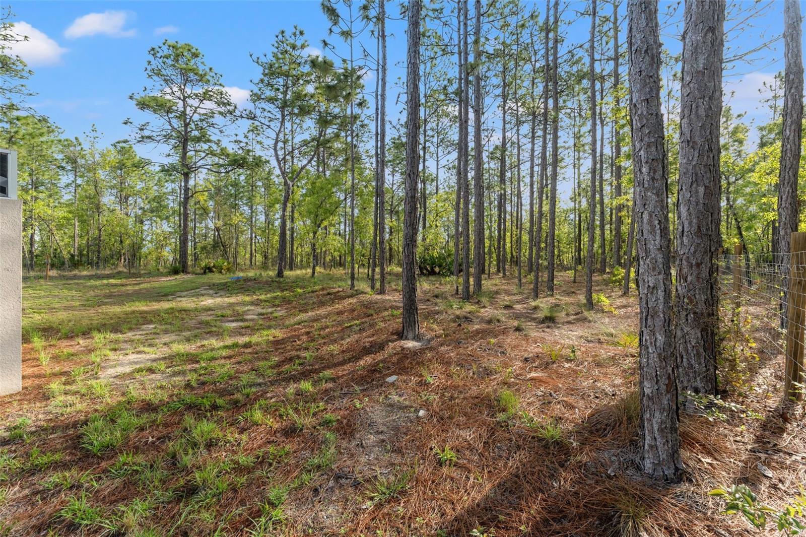 15492 POMP PKWY, WEEKI WACHEE, FL, 34614