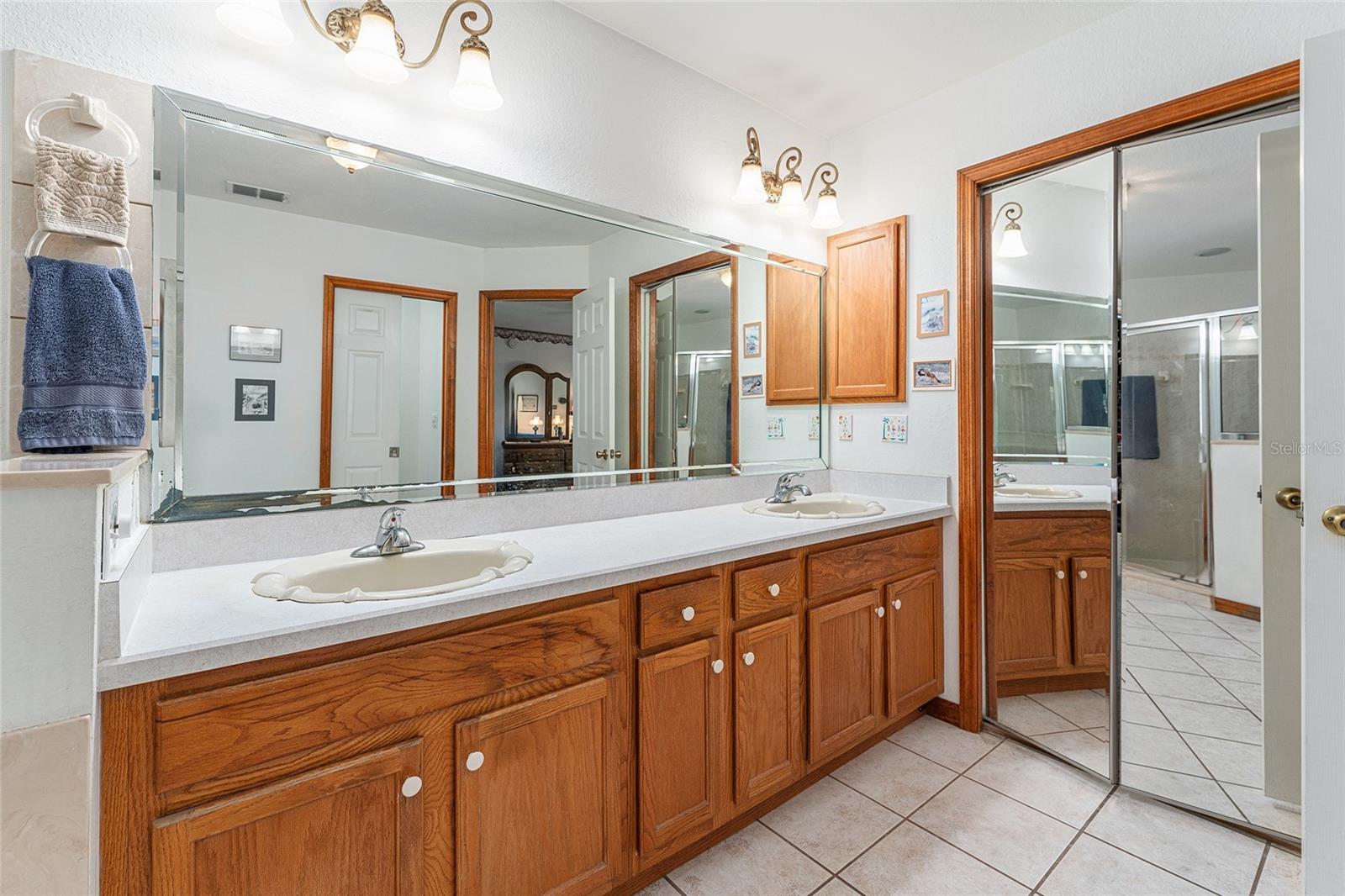 10159 SE 174TH ST, SUMMERFIELD, FL, 34491