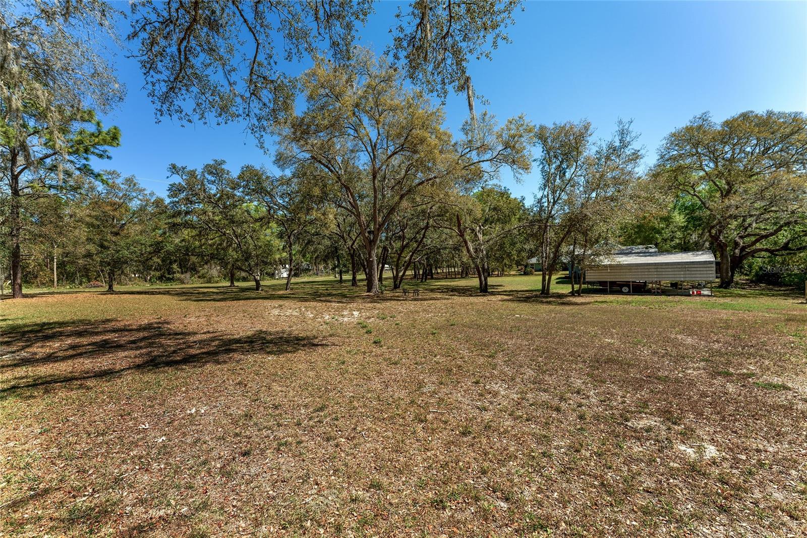 10159 SE 174TH ST, SUMMERFIELD, FL, 34491