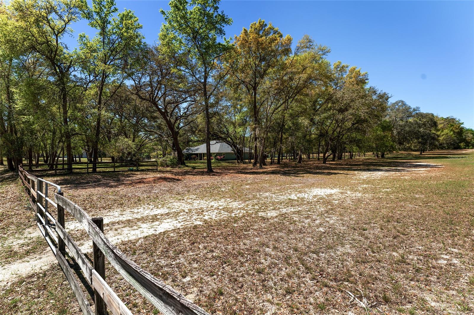 10159 SE 174TH ST, SUMMERFIELD, FL, 34491