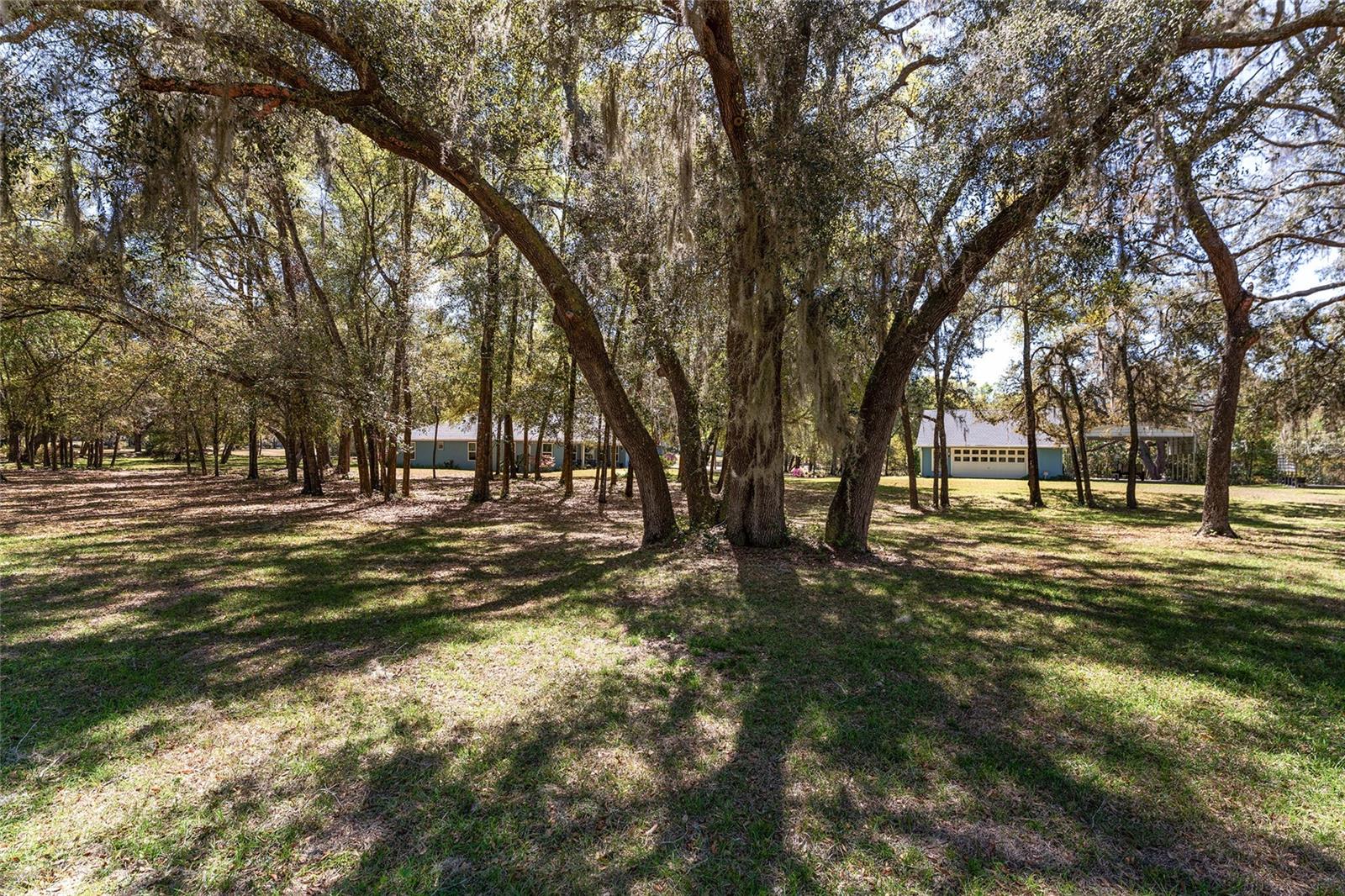 10159 SE 174TH ST, SUMMERFIELD, FL, 34491