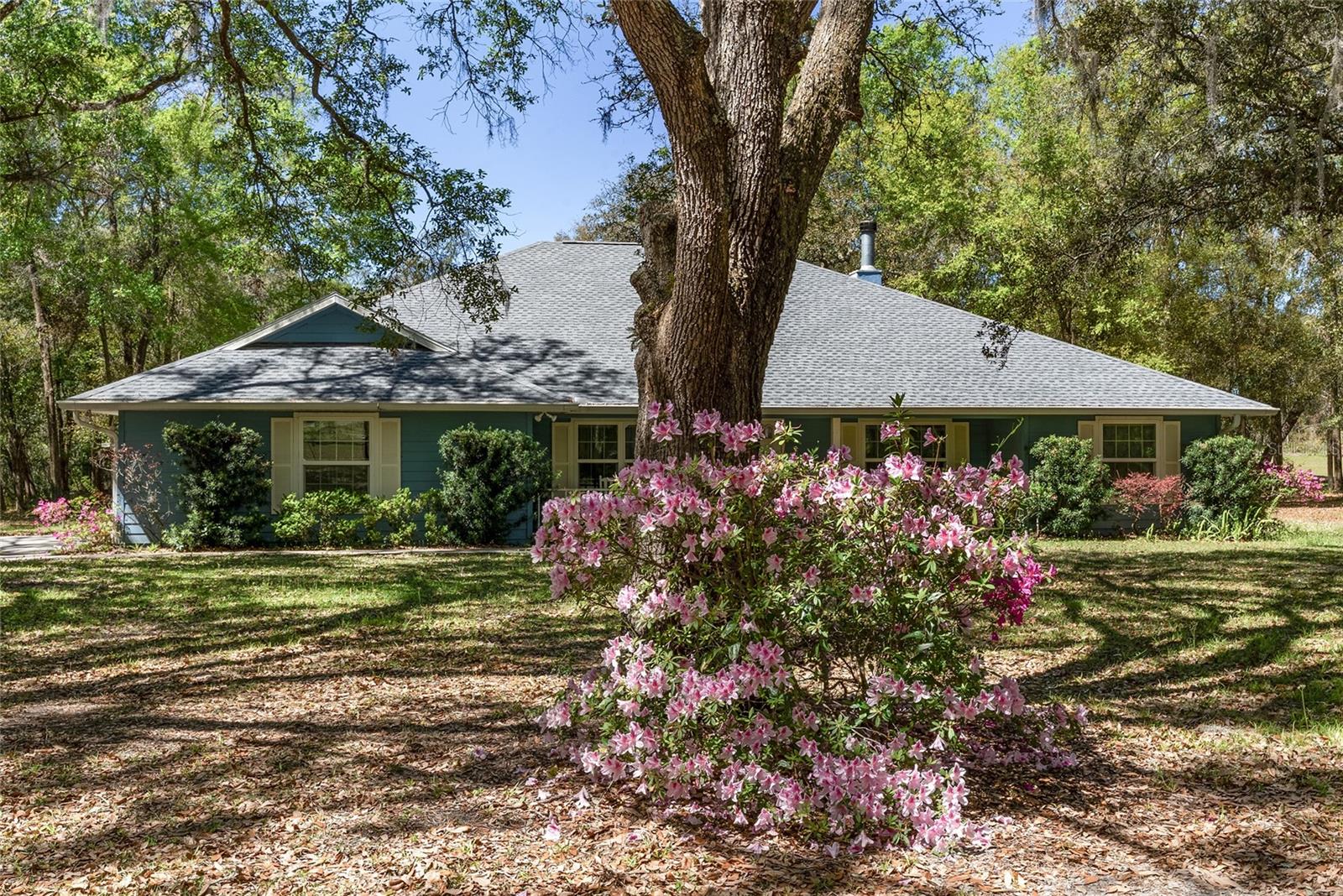 10159 SE 174TH ST, SUMMERFIELD, FL, 34491