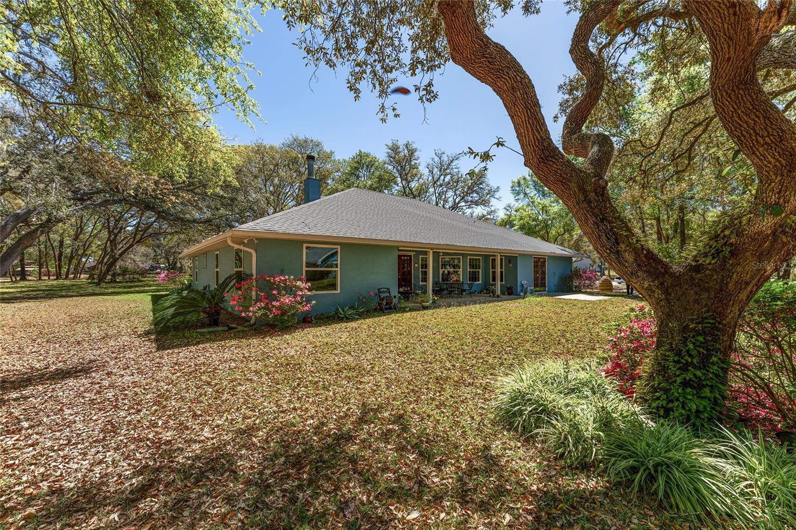 10159 SE 174TH ST, SUMMERFIELD, FL, 34491