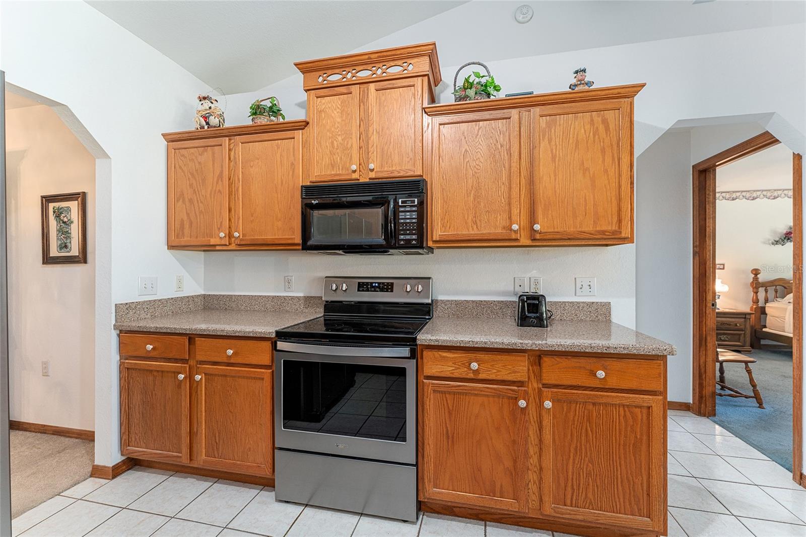 10159 SE 174TH ST, SUMMERFIELD, FL, 34491