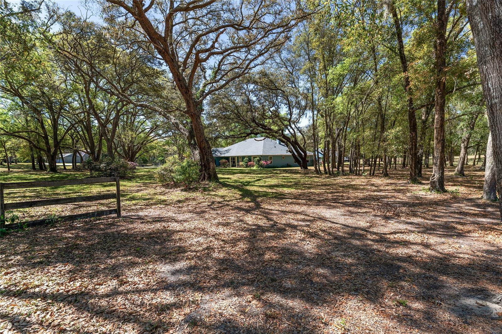 10159 SE 174TH ST, SUMMERFIELD, FL, 34491