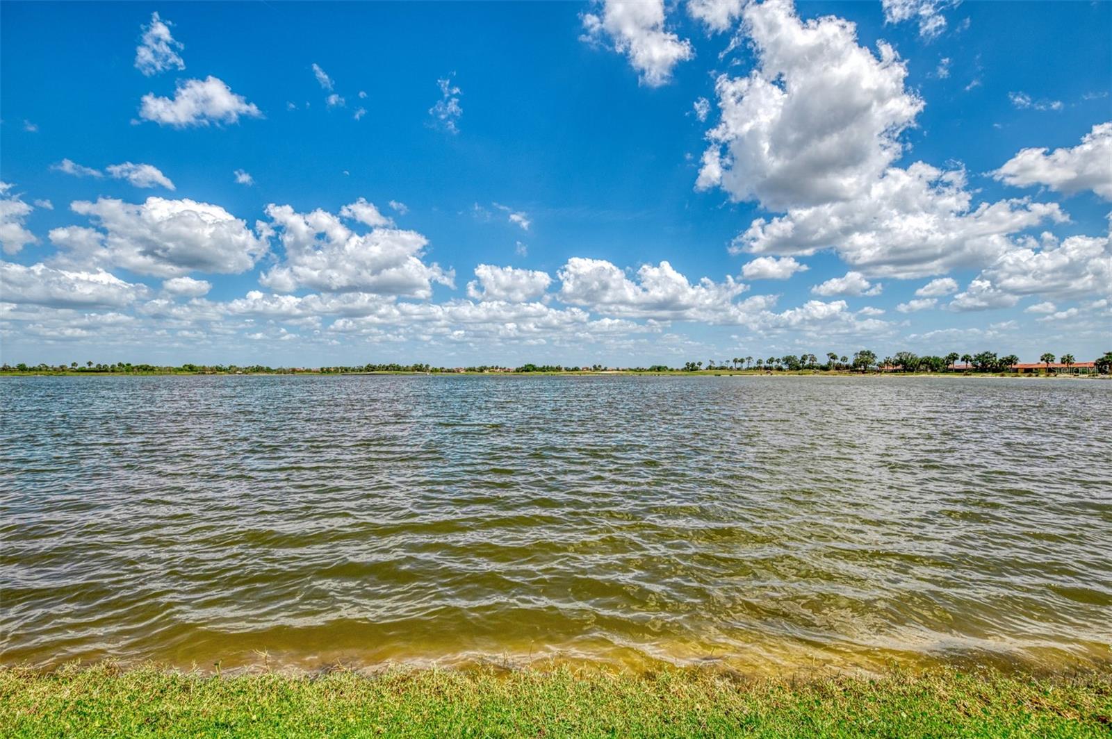 24128 SPARTINA DR, VENICE, FL, 34293