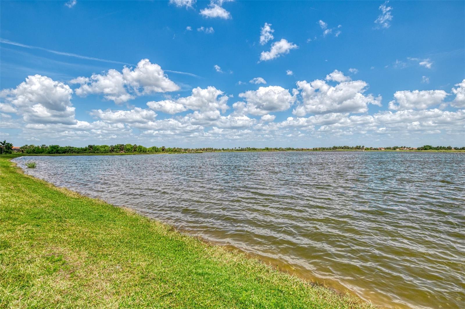 24128 SPARTINA DR, VENICE, FL, 34293