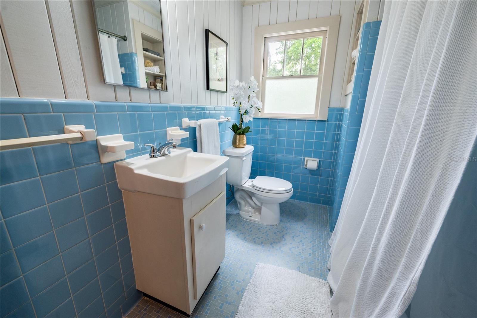 18785 NW 240TH ST, HIGH SPRINGS, FL, 32643