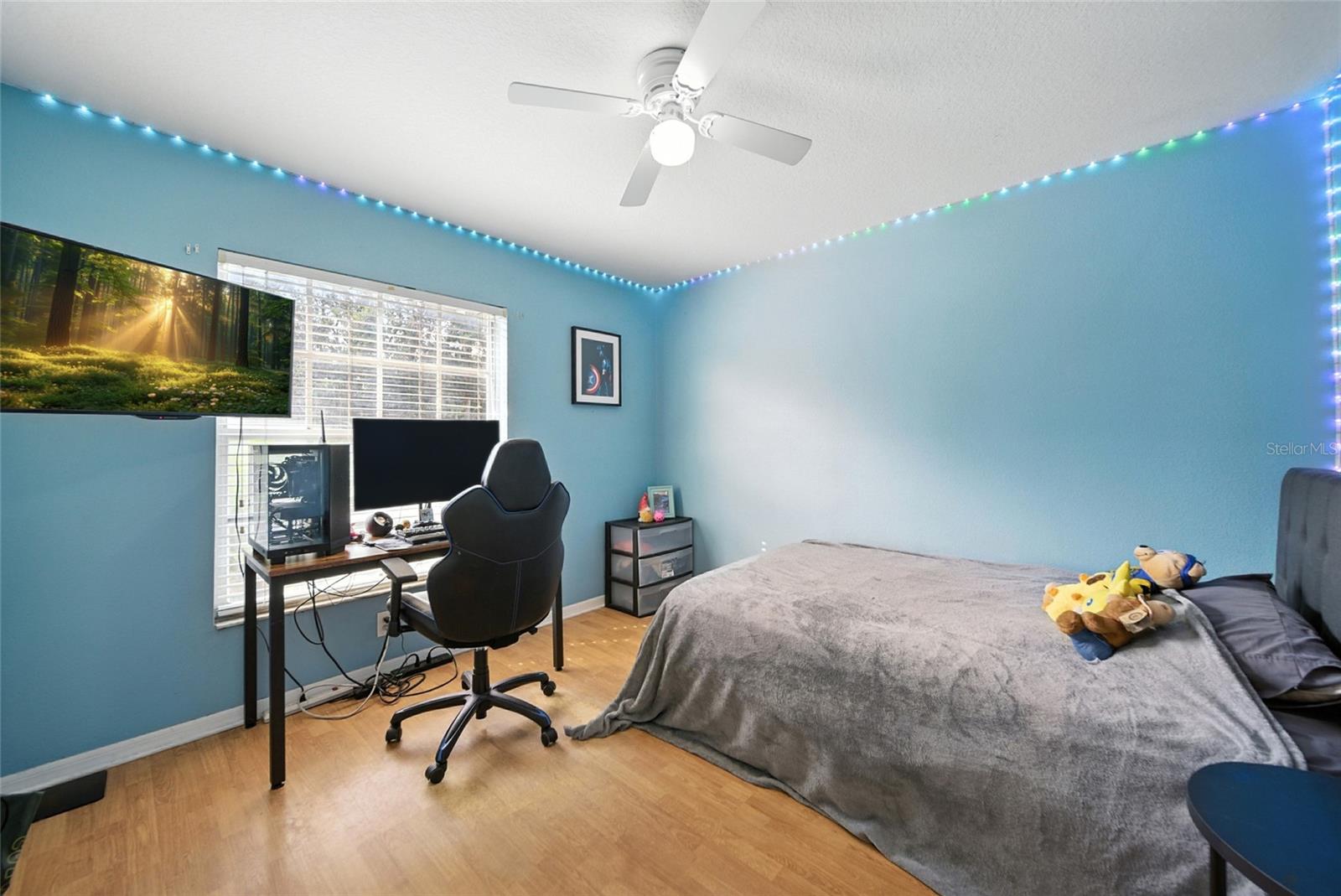 26850 MIDDLEGROUND LOOP, WESLEY CHAPEL, FL, 33544