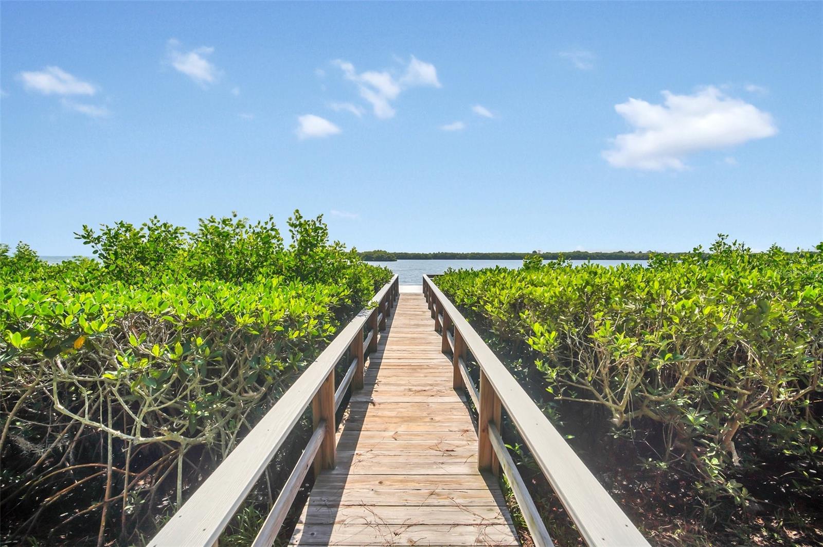 1111 N BAYSHORE BLVD #D6, CLEARWATER, FL, 33759