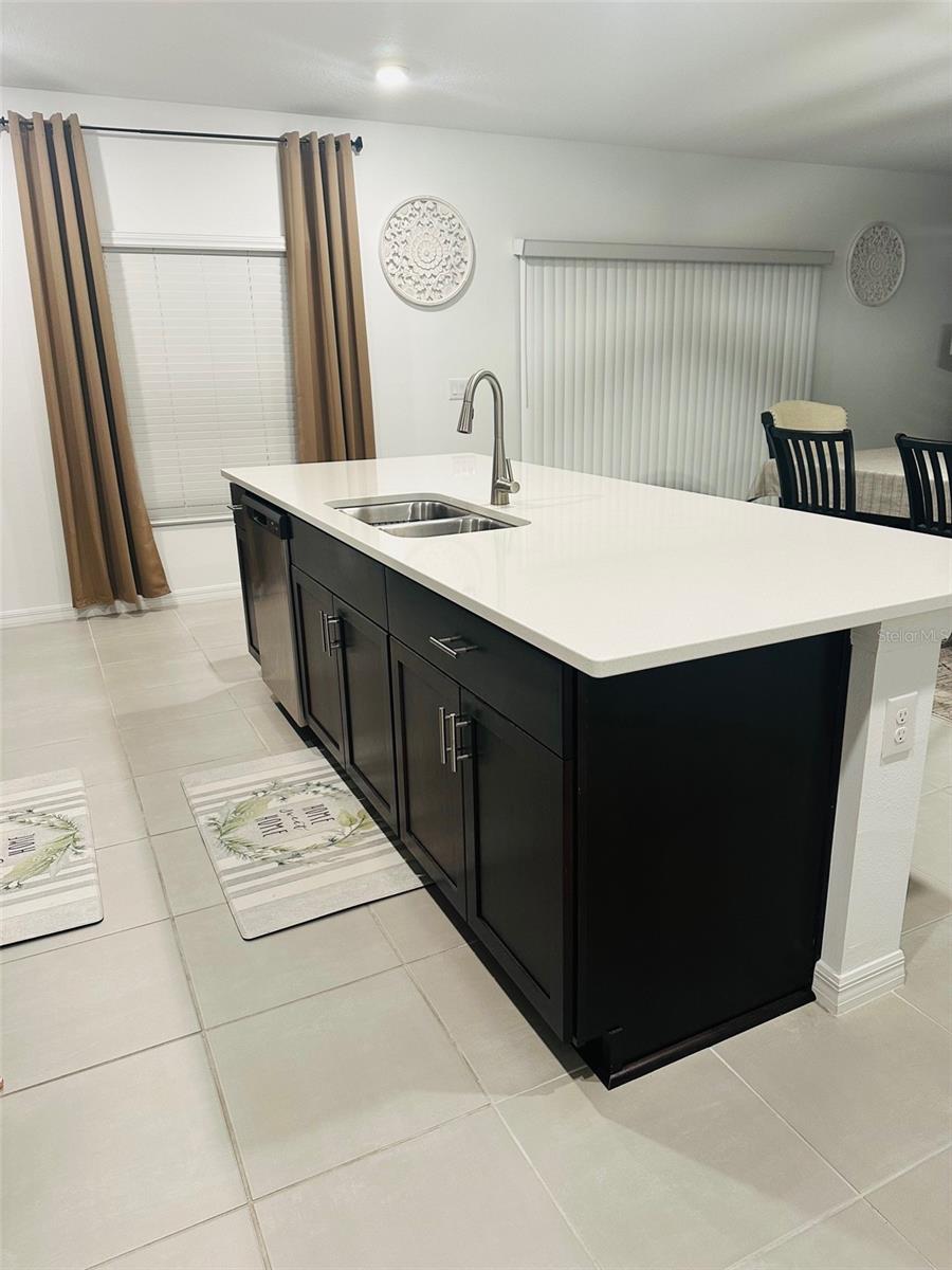 1138 CALICO POINTE CIR, GROVELAND, FL, 34736