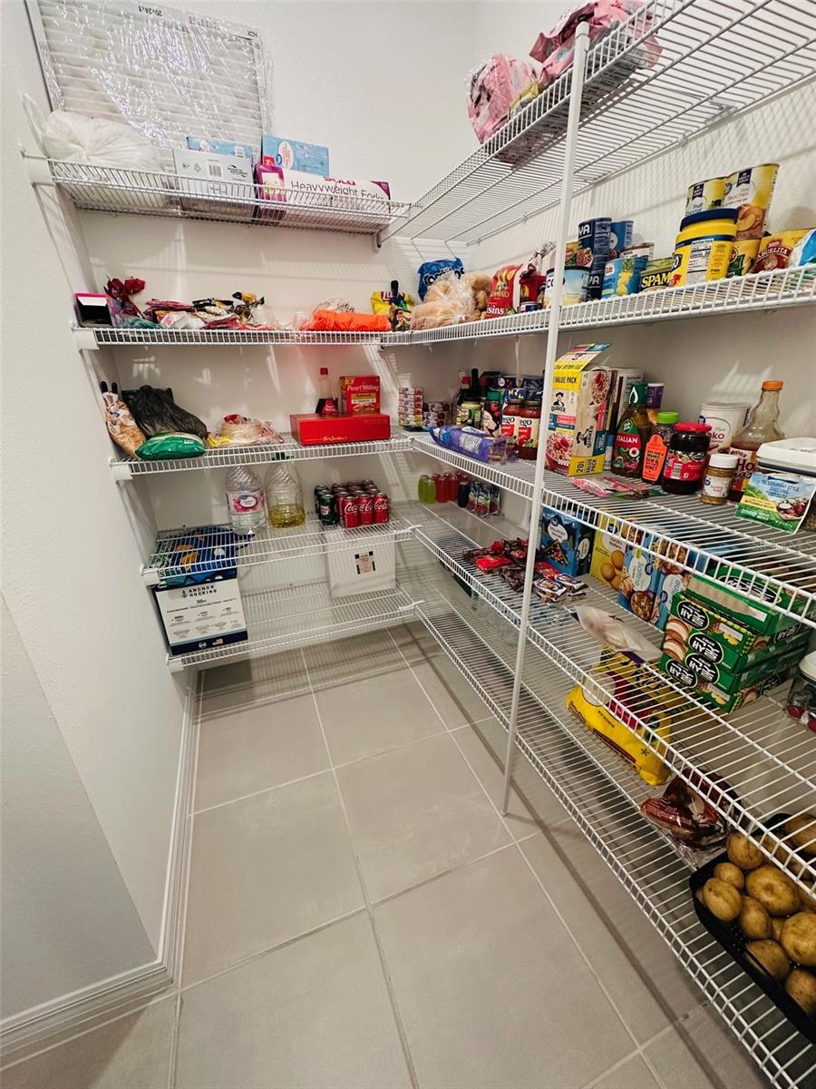 1138 CALICO POINTE CIR, GROVELAND, FL, 34736