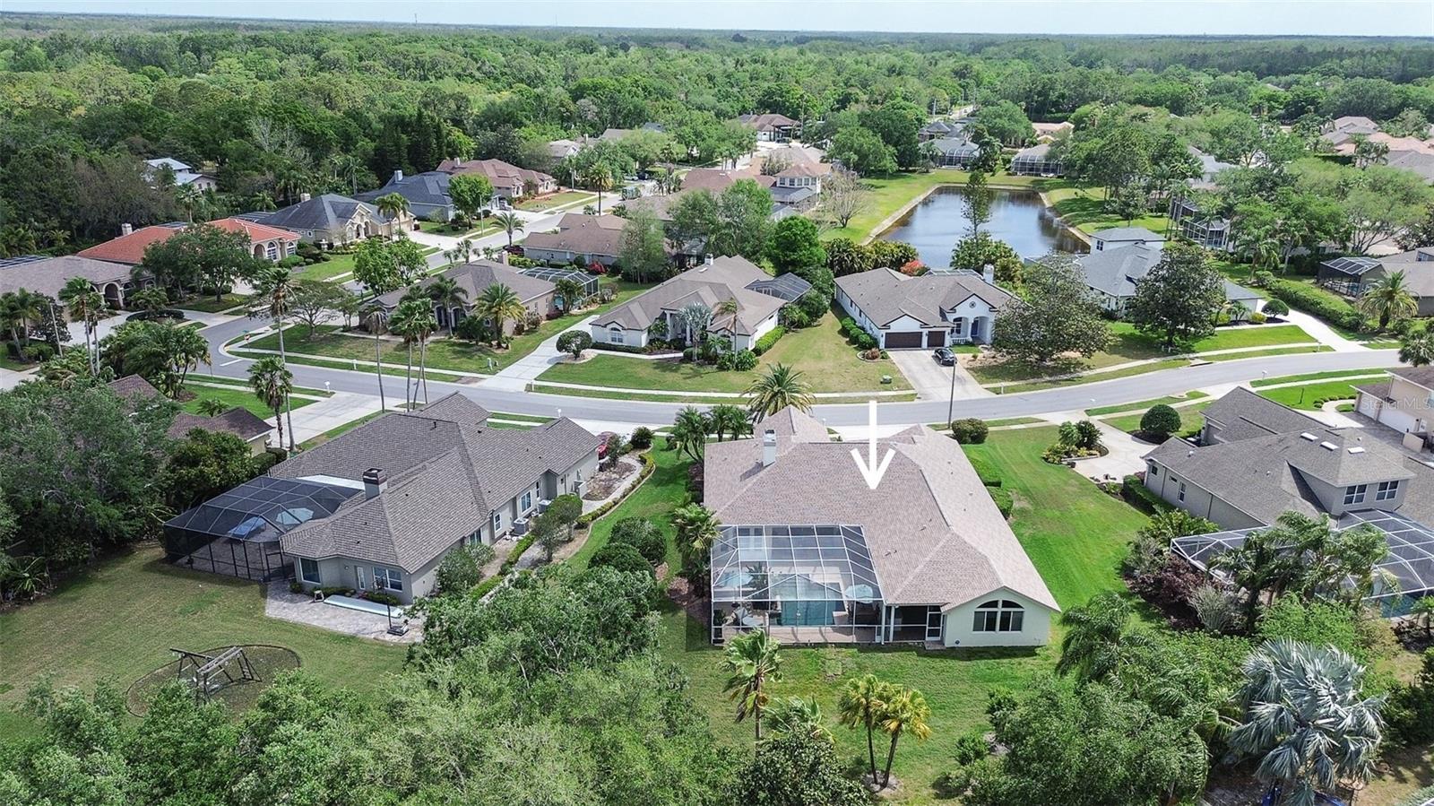 5460 MILLBROOK WAY, PALM HARBOR, FL, 34685
