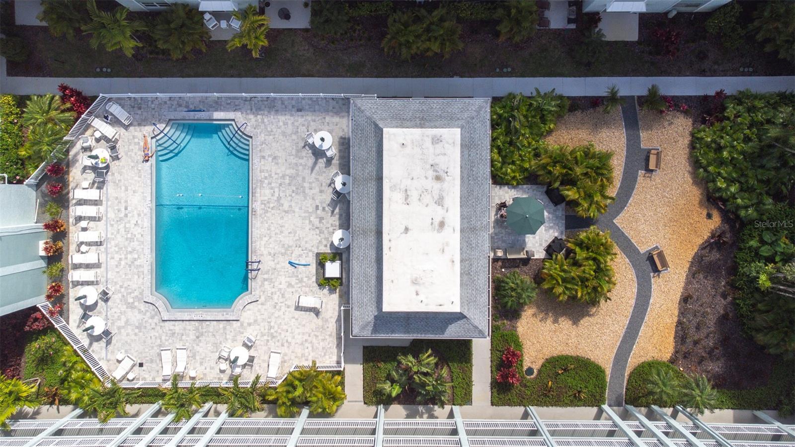1706 BELLEAIR FOREST DR #336, BELLEAIR, FL, 33756