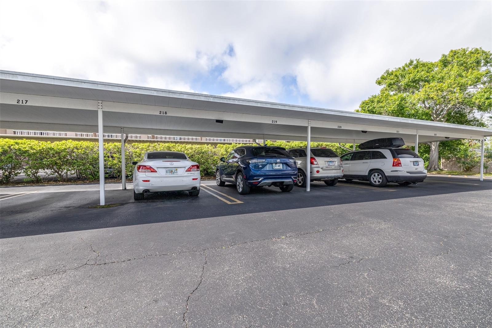 1706 BELLEAIR FOREST DR #336, BELLEAIR, FL, 33756