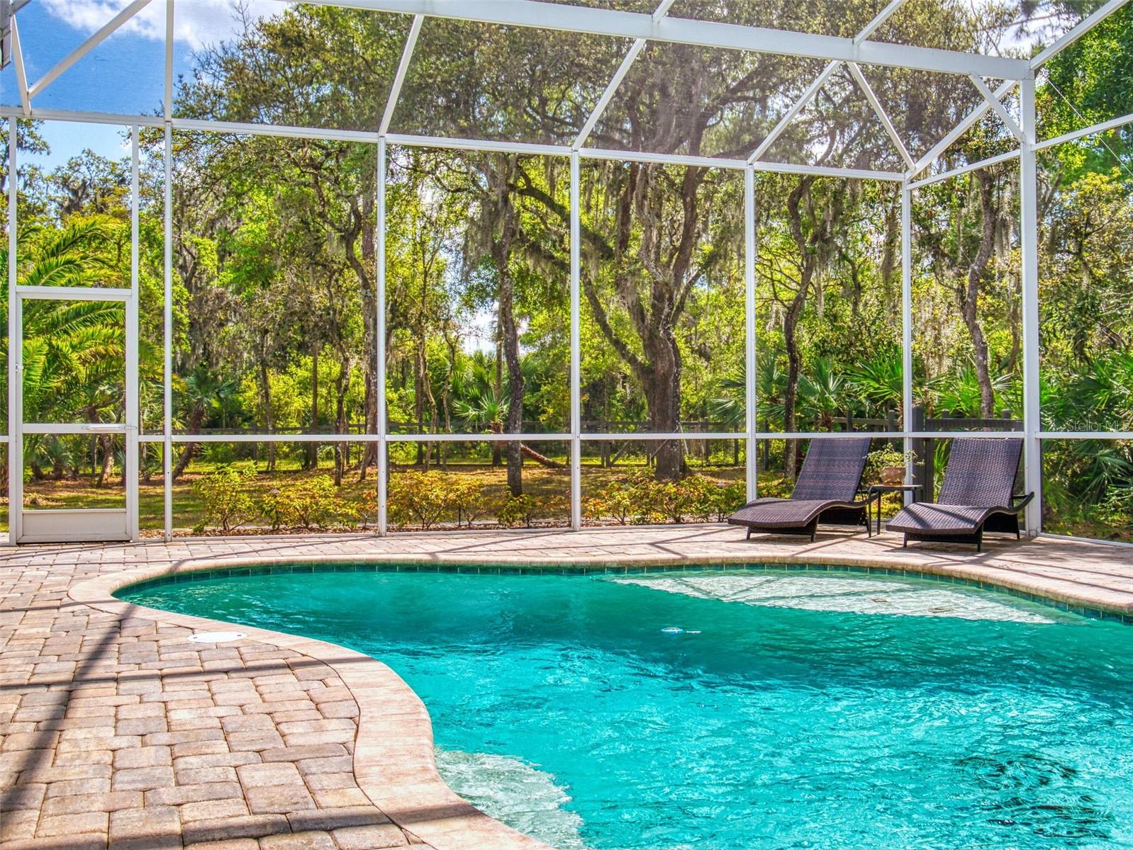 2656 OLD SMYRNA TRL, NEW SMYRNA BEACH, FL, 32168