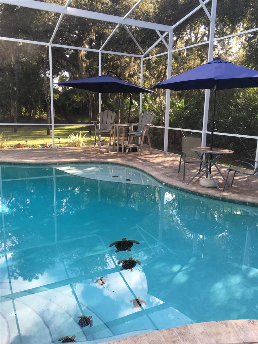 2656 OLD SMYRNA TRL, NEW SMYRNA BEACH, FL, 32168