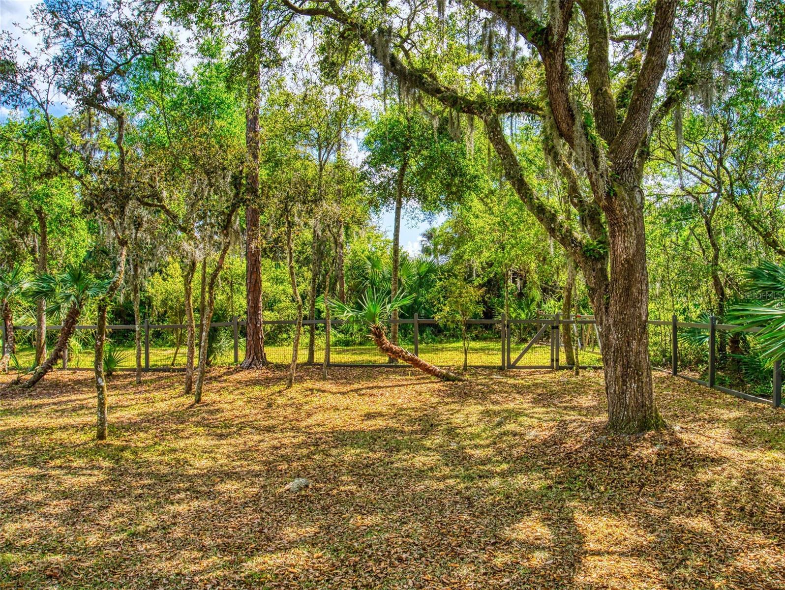 2656 OLD SMYRNA TRL, NEW SMYRNA BEACH, FL, 32168