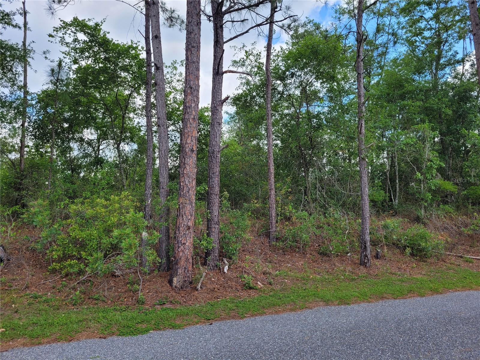 TBD COUNTY ROAD 18, FORT WHITE, FL, 32038