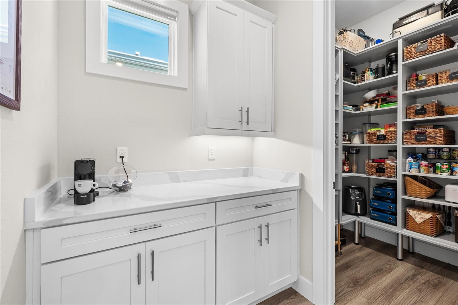 8580 IVY STARK BLVD, WESLEY CHAPEL, FL, 33545