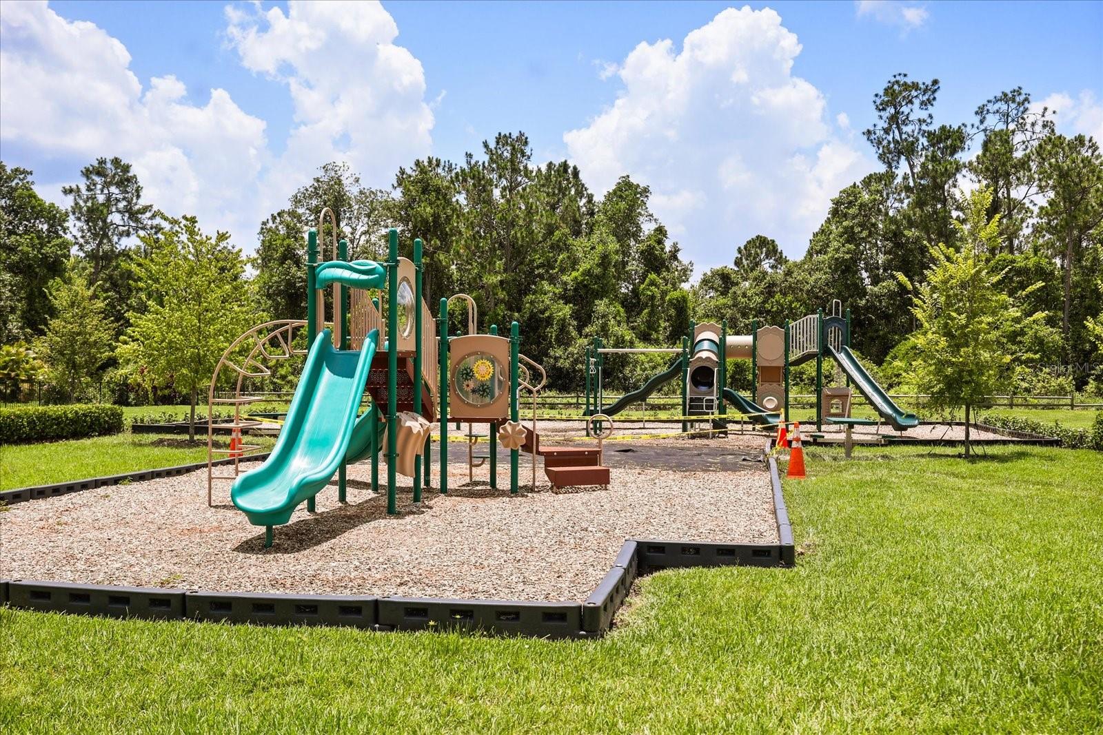14154 SHOCKLACH DR, WINTER GARDEN, FL, 34787
