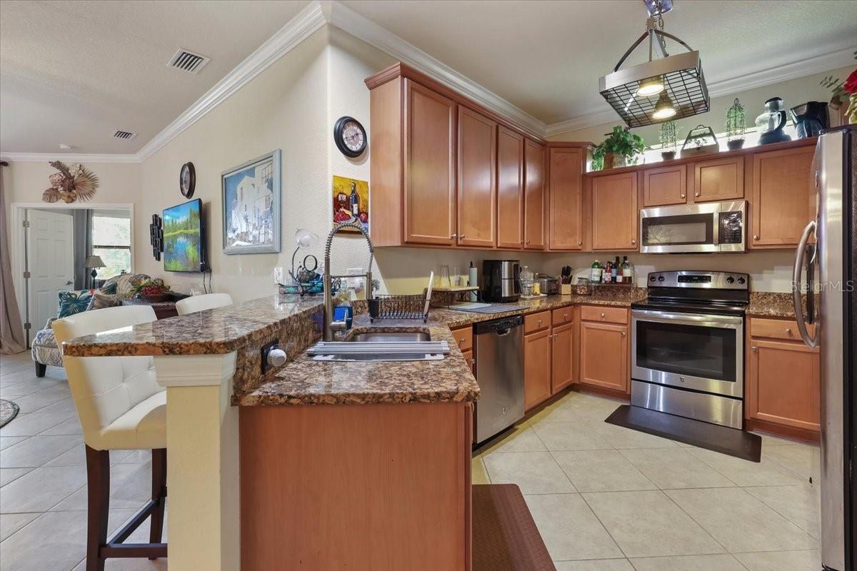 20171 TESORO DR, VENICE, FL, 34293