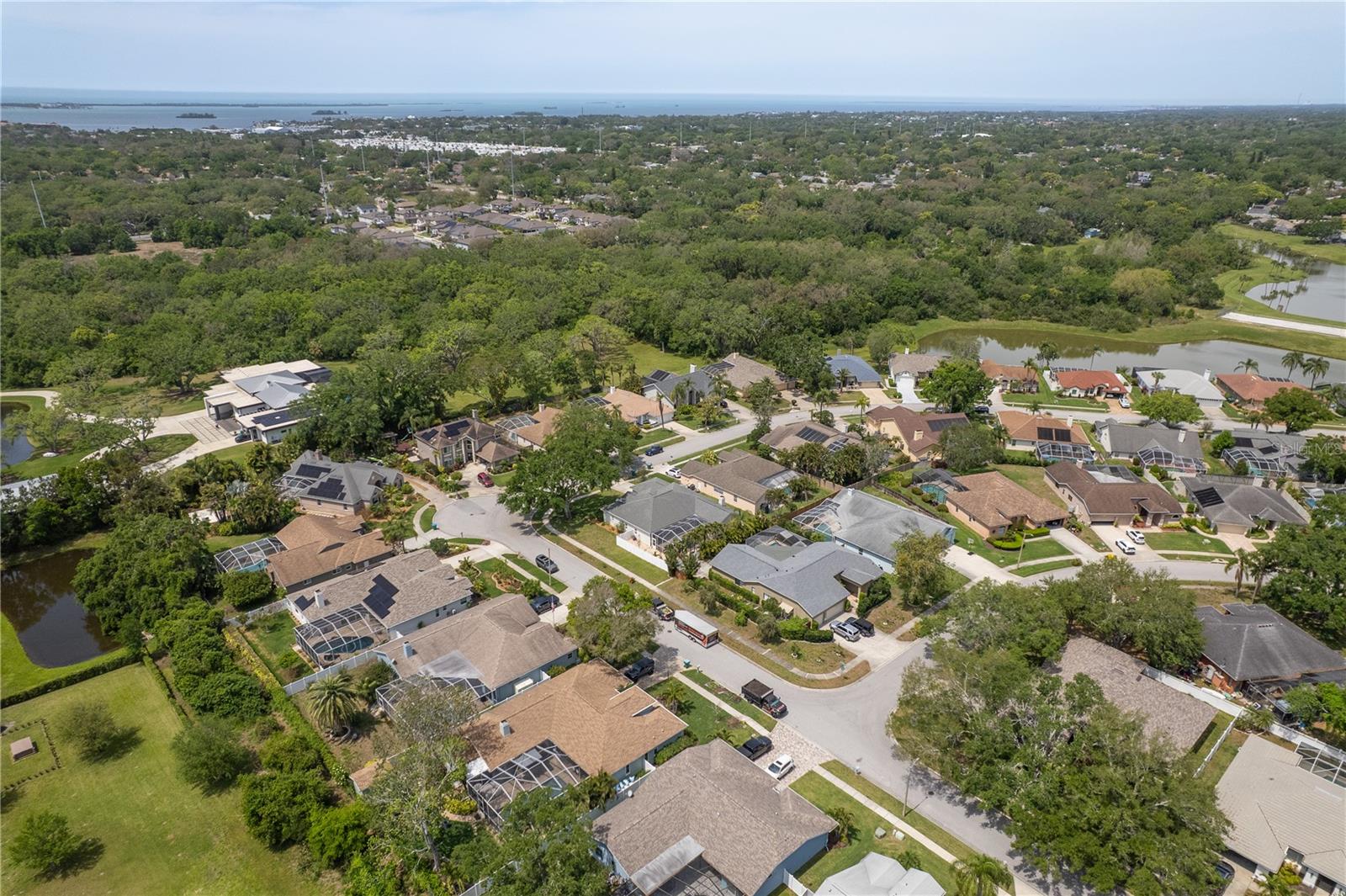 949 BELTED KINGFISHER DR S, PALM HARBOR, FL, 34683