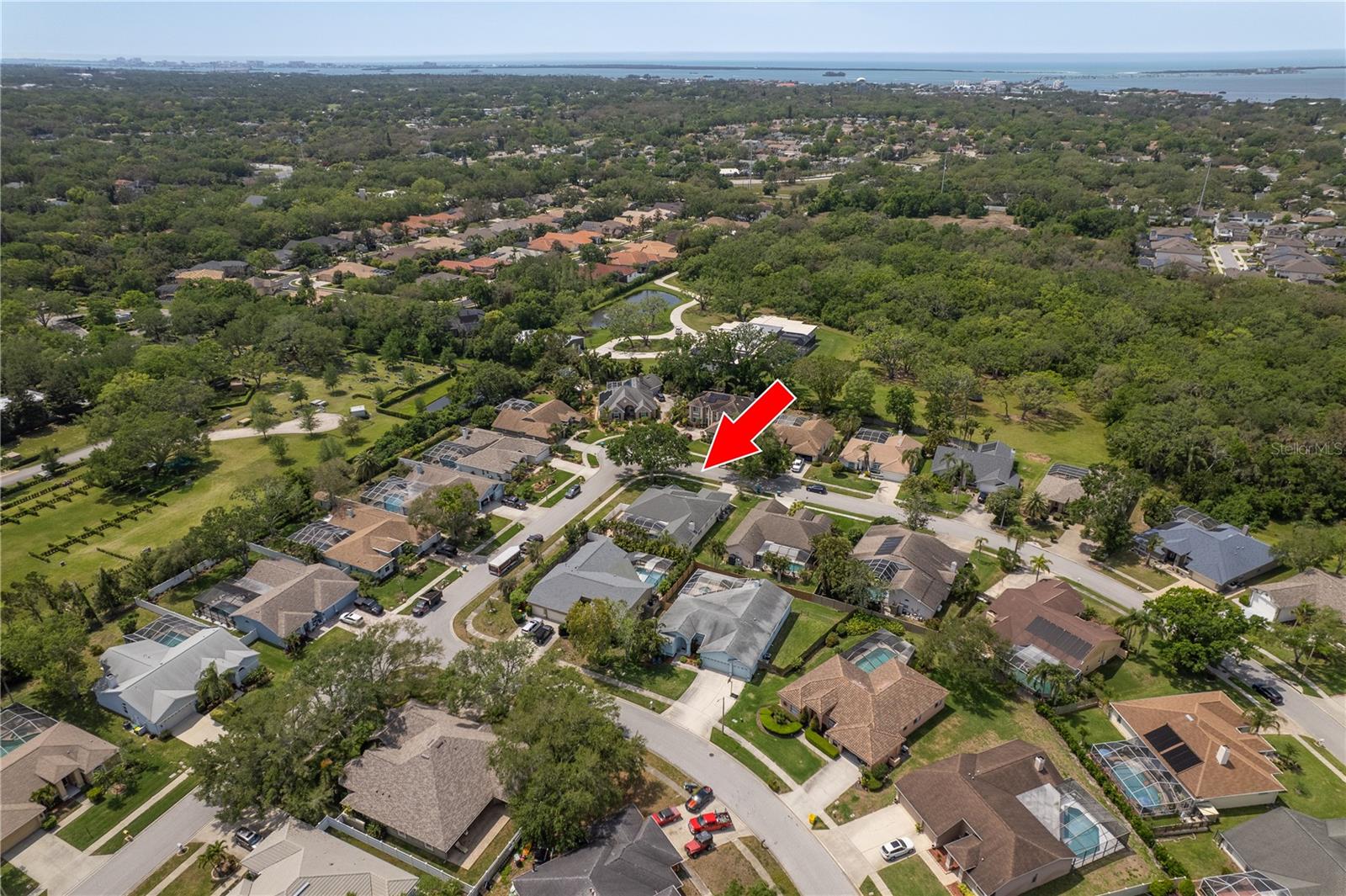 949 BELTED KINGFISHER DR S, PALM HARBOR, FL, 34683