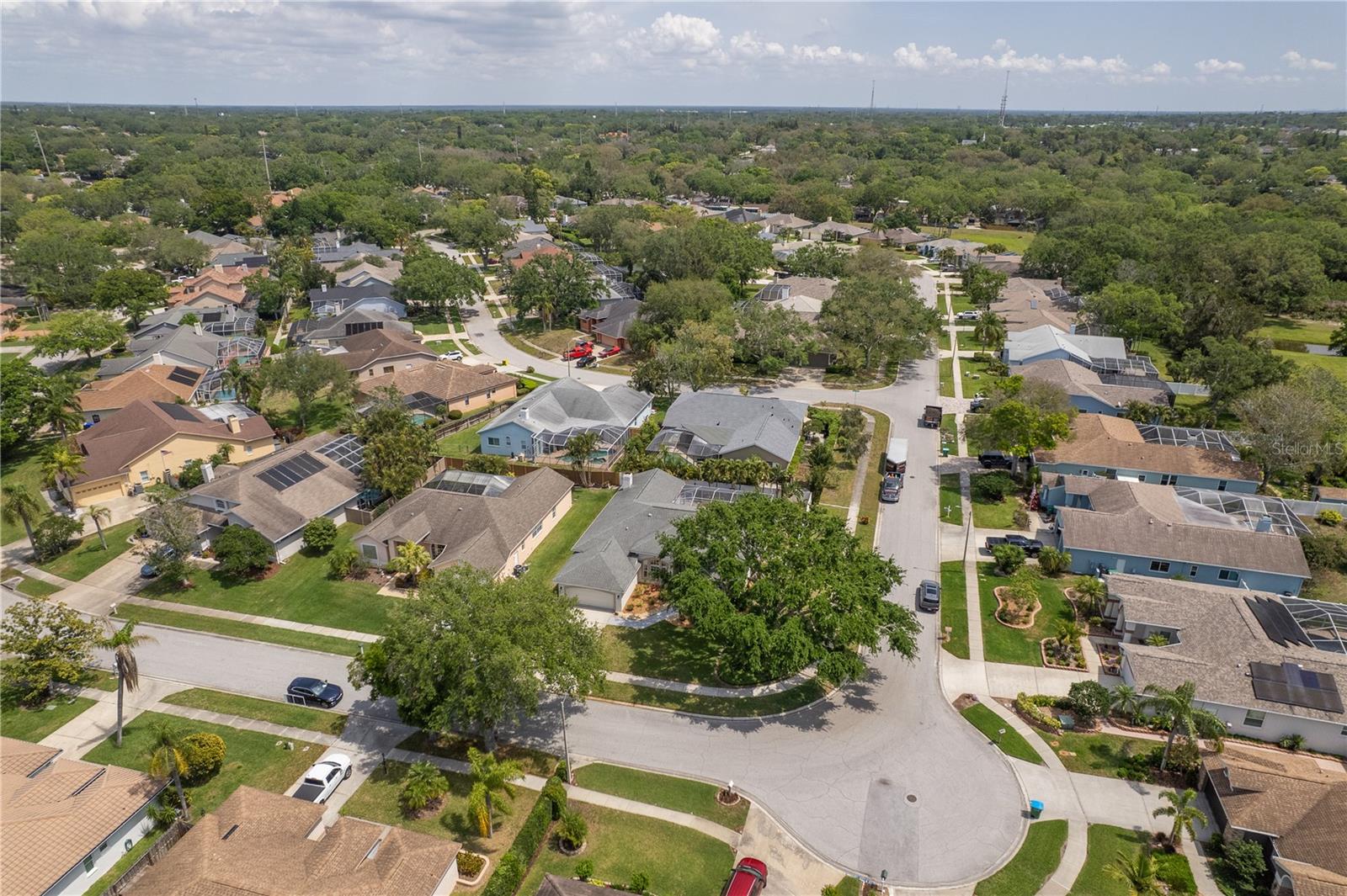 949 BELTED KINGFISHER DR S, PALM HARBOR, FL, 34683