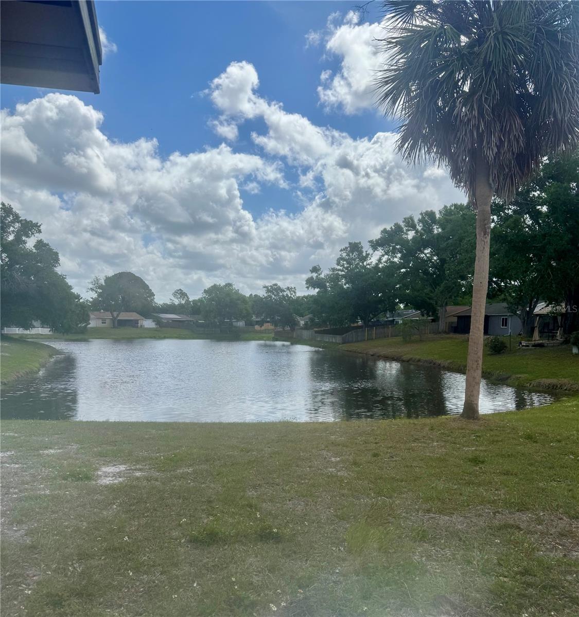 11318 BLACKBARK DR, RIVERVIEW, FL, 33579