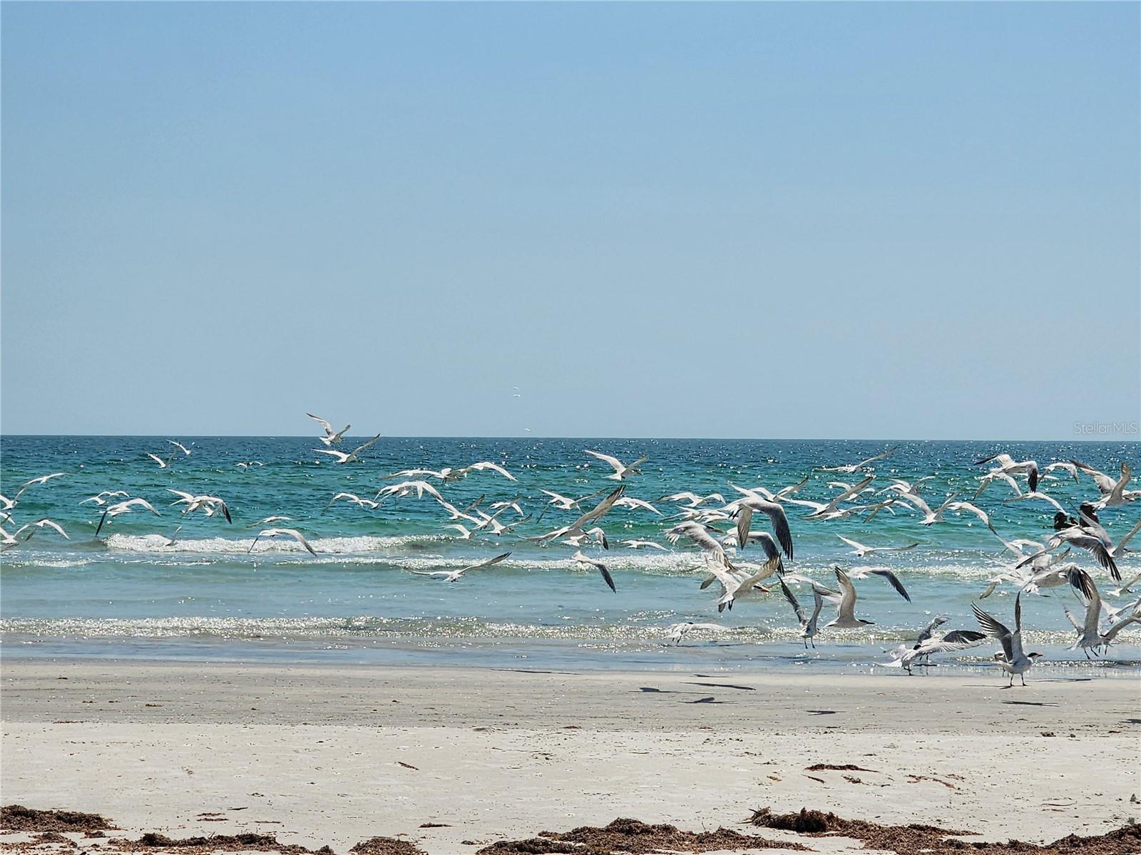 13320 2ND ST E, MADEIRA BEACH, FL, 33708