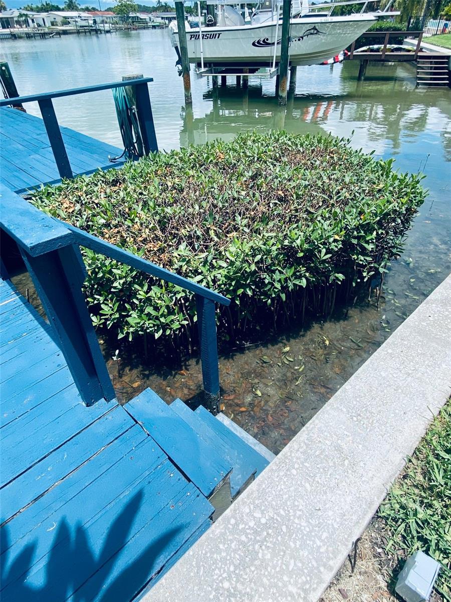 7885 4TH AVE S, ST PETERSBURG, FL, 33707