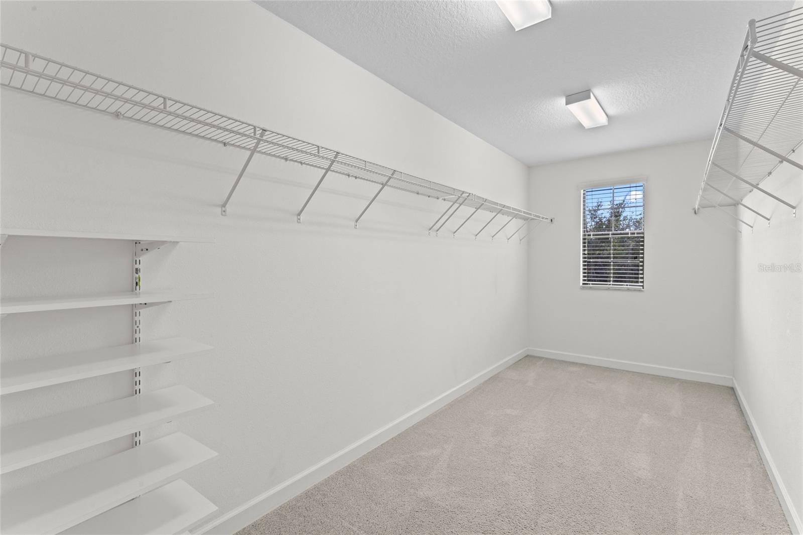 935 TERRA VISTA ST, BRANDON, FL, 33511