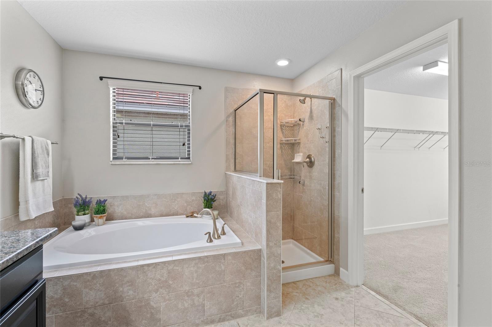 935 TERRA VISTA ST, BRANDON, FL, 33511