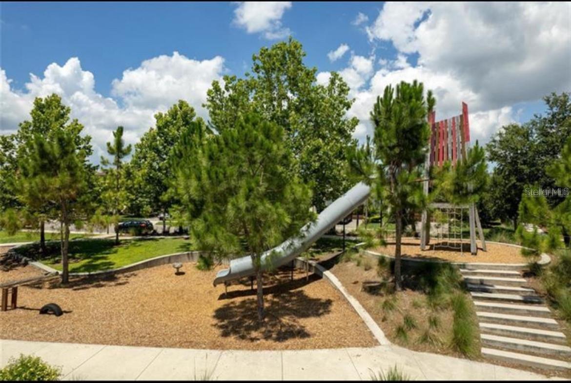 12956 WILDGRASS TRL, ODESSA, FL, 33556