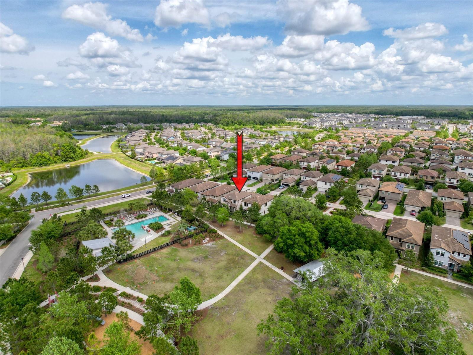 12956 WILDGRASS TRL, ODESSA, FL, 33556