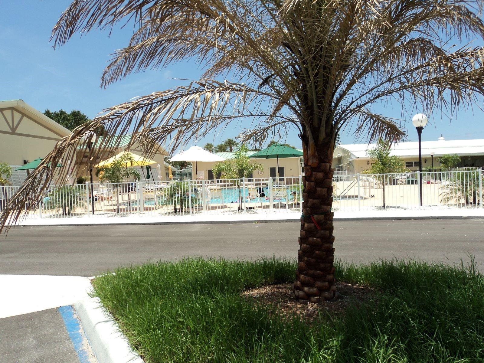 722 CAREFREE, VENICE, FL, 34285