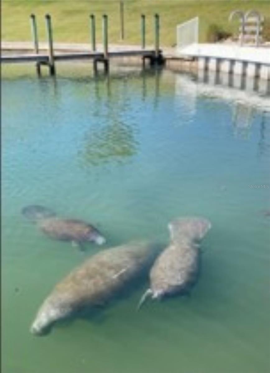 722 CAREFREE, VENICE, FL, 34285