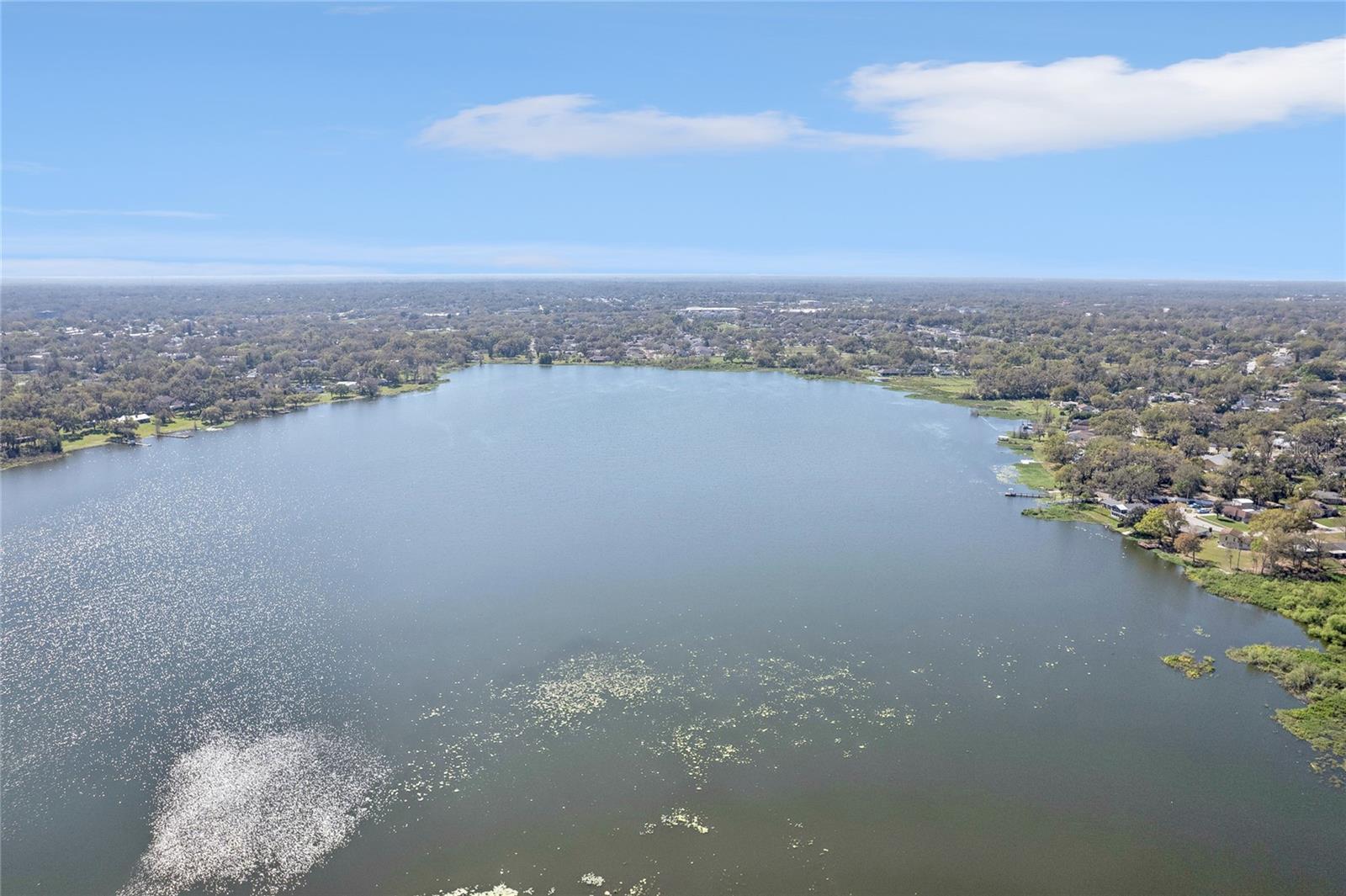 1222 LADY ELAINE DR, VALRICO, FL, 33594