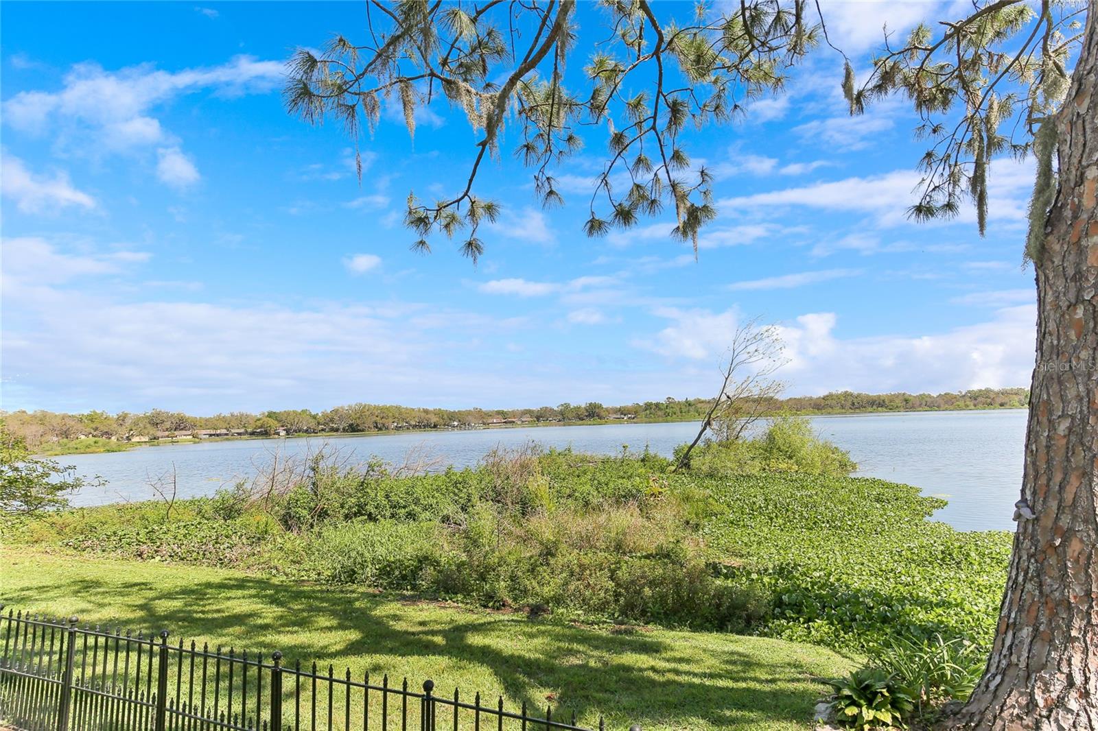 1222 LADY ELAINE DR, VALRICO, FL, 33594