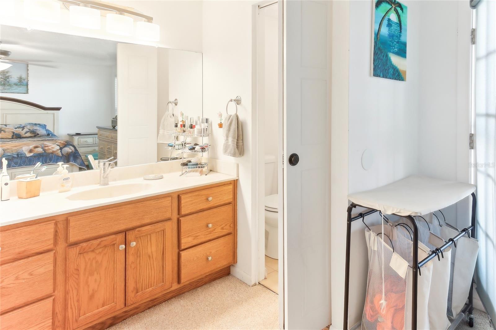 1222 LADY ELAINE DR, VALRICO, FL, 33594