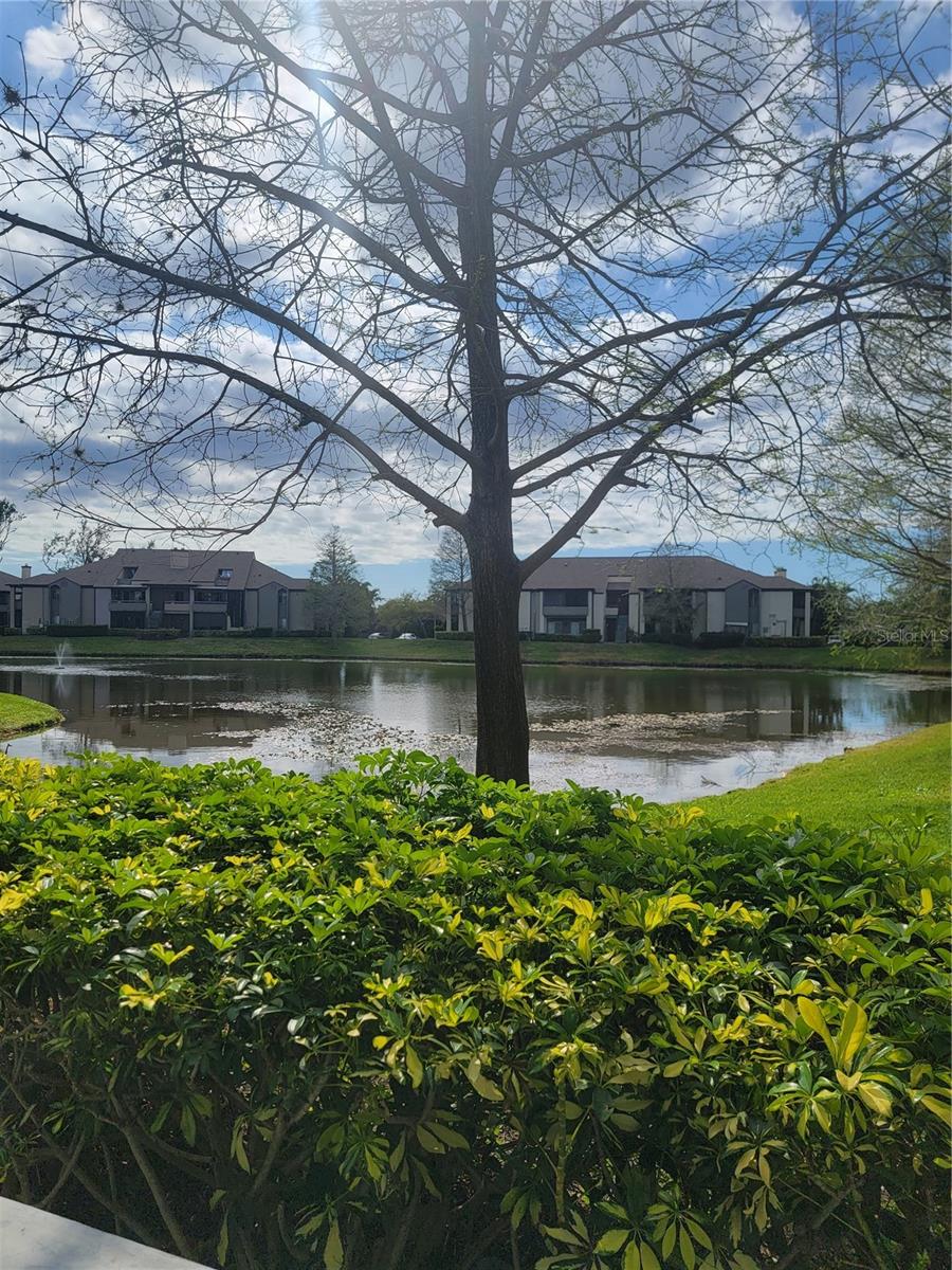 10265 GANDY BLVD N #711, ST PETERSBURG, FL, 33702