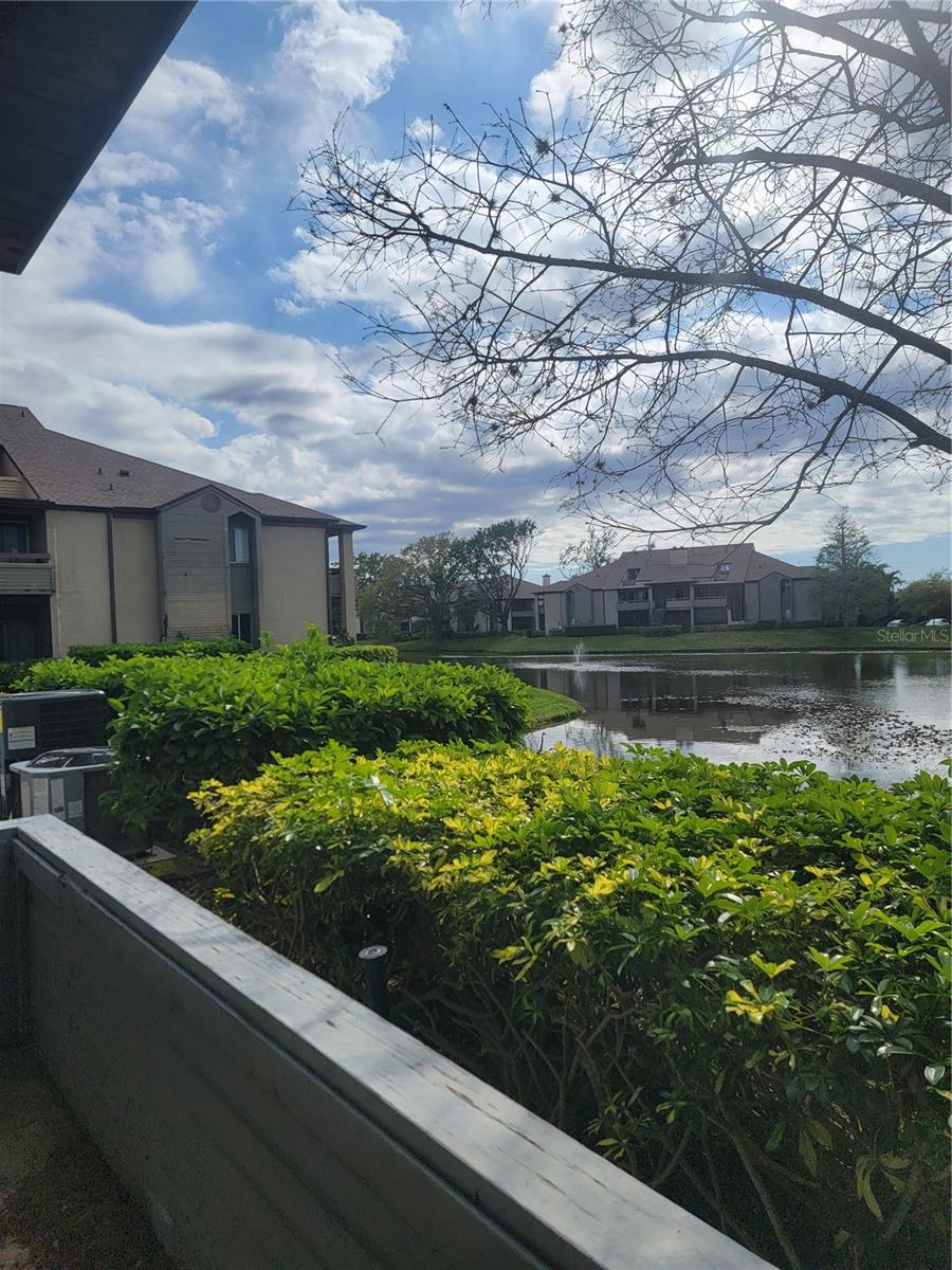 10265 GANDY BLVD N #711, ST PETERSBURG, FL, 33702